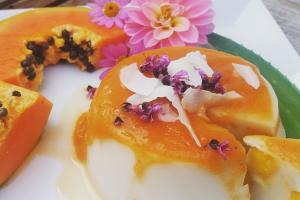 panacotta papaya MD News pixa 14.10.26.news