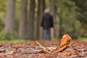 Trauer Wanderung Wald pixabay.news